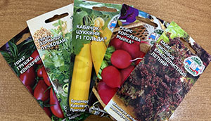 семена СеДеК